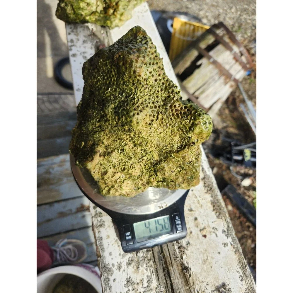 Fiji Dry Base Rock for Saltwater Aquarium Setup Natural Reef Rock Aquascaping
